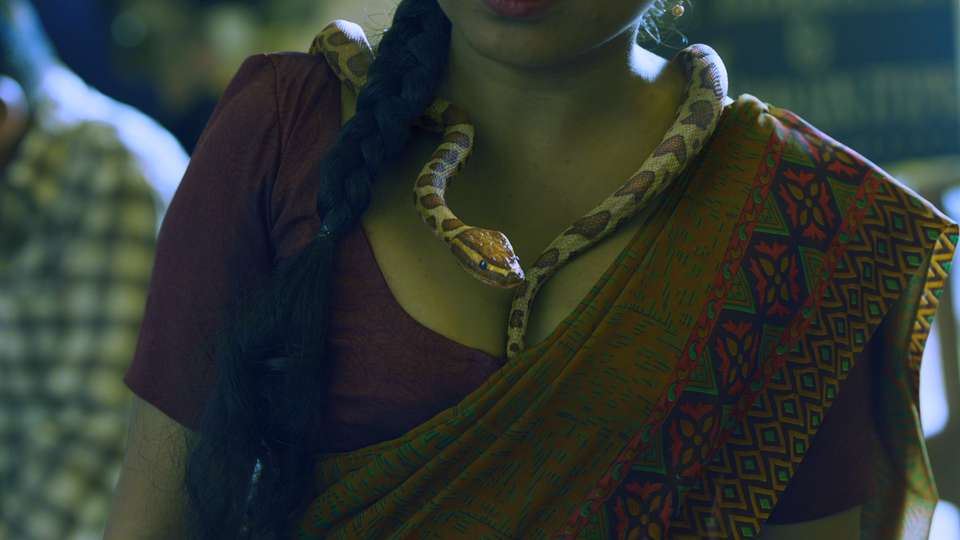 FutureWorks VFX Rana Naidu Snake After